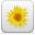 wiki